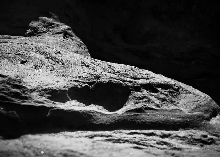 Hotel Club Levante 4*