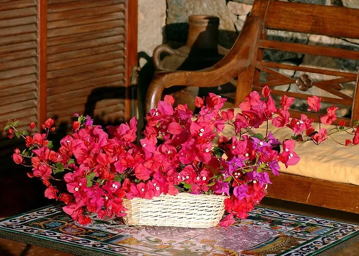 Club Levante 4* Tracino