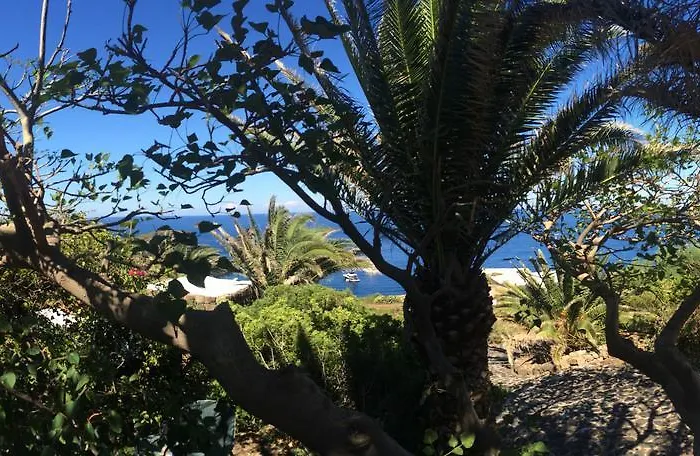 Club Levante Hotel 4*